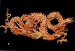 大多和.jpg